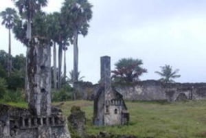 Zanzibar: Mnemba båttur og delfin, snorkling med grilling lunsj