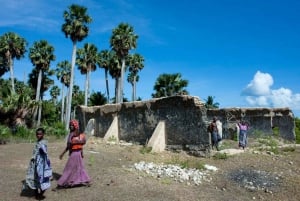 Zanzibar: Mnemba båttur og delfin, snorkling med grilling lunsj