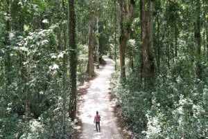Pemba: Ngezi-skoven og Vumawimbi-stranden