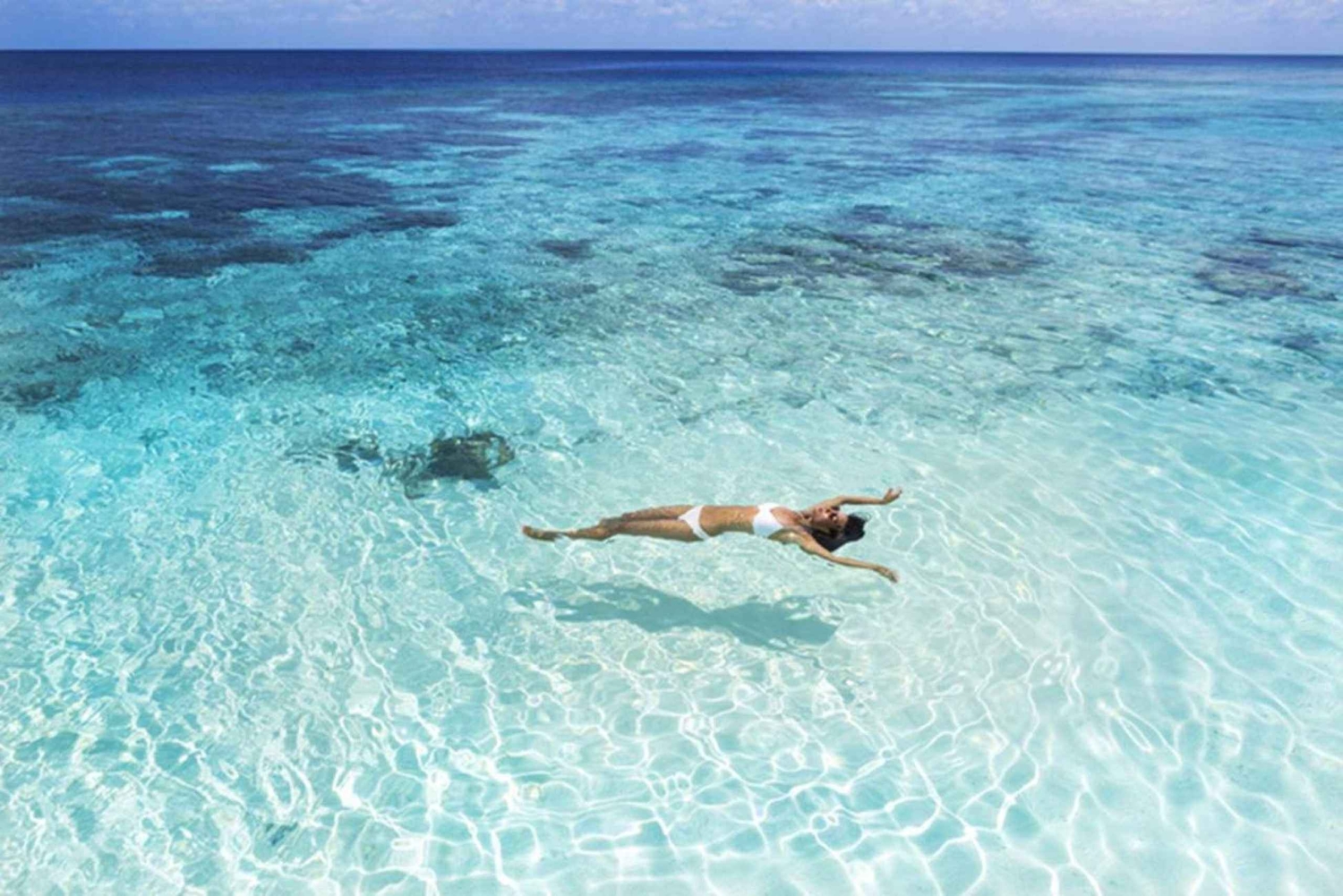 Pemba: Ngezi Forest Reserve, Lighthouse & Vumawimbi Beach