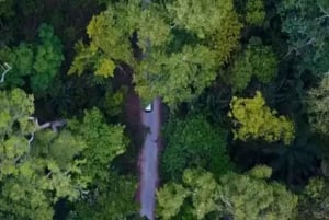 Zanzibar: Foresta di Jozani, piantagioni di spezie e Prison Island