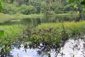 Zanzibar: Foresta di Jozani, piantagioni di spezie e Prison Island