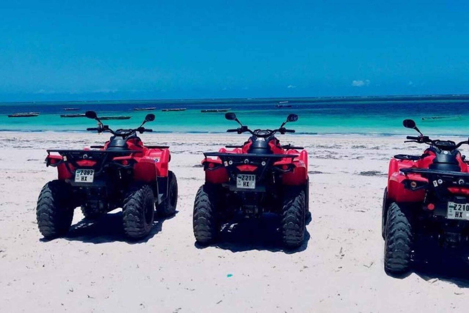 Floresta Jozani, caiaque nos mangais e aquário de tartarugas marinhas
