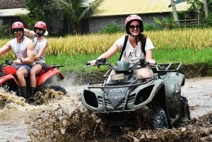 Dar es Salaam: 2-daagse safari in Mikumi National Park per trein