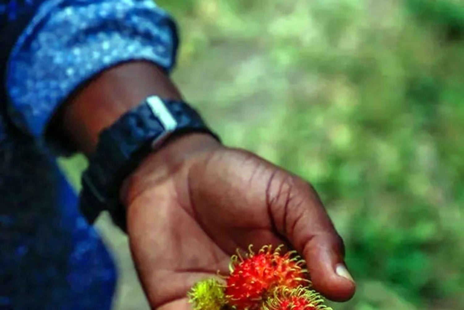 Pemba: specerijentour met plantagebezoek en proeverijen