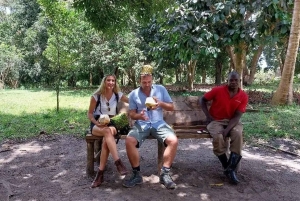 Pemba: specerijentour met plantagebezoek en proeverijen