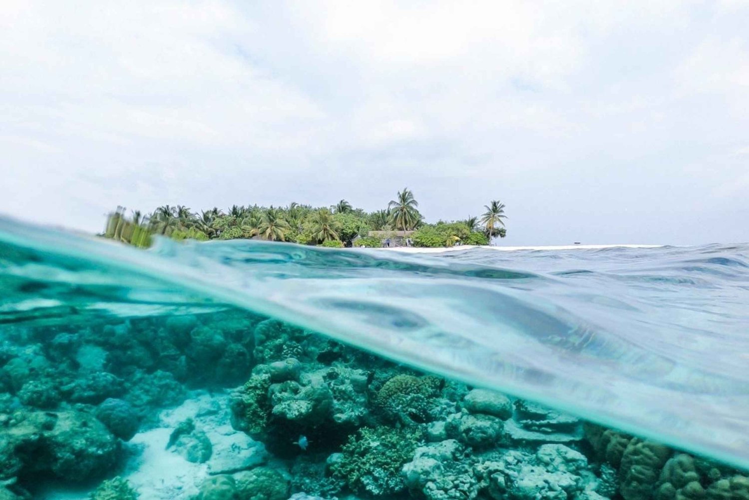 Zanzibar: Crystal Waters of Kuza & The Rock Restaurant