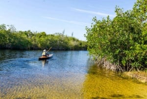 Zanzibar: Prison Island en Nakupenda boottocht met lunch