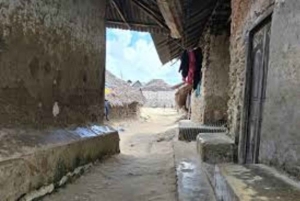 Pemba: Landsbyliv og matlagingstur med lunsj