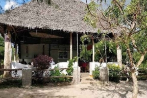 Pemba: Landsbyliv og matlagingstur med lunsj