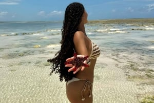 Pingwe: zeesterren, Blue Lagoon, snorkelen & The Rock Tour