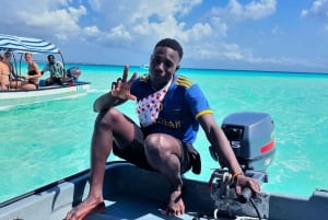 Pingwe: zeesterren, Blue Lagoon, snorkelen & The Rock Tour