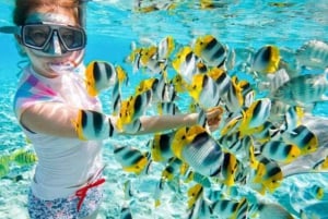 Prison Island And Bawe Snorkeling.