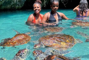 Prison Island, Sea Turtles, Rock Restaurant & Relax in Beach