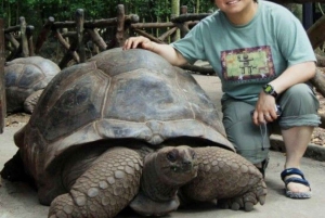 Prison Island, Sea Turtles, Rock Restaurant & Relax in Beach