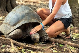 Prison Island, Sea Turtles, Rock Restaurant & Relax in Beach