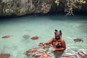 Prison Island, Sea Turtles, Rock Restaurant & Relax in Beach