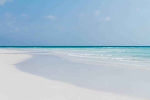 Prison Island, Sea Turtles, Rock Restaurant & Relax in Beach
