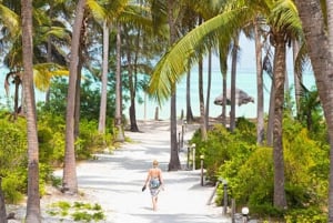 Prison Island, Sea Turtles, Rock Restaurant & Relax in Beach