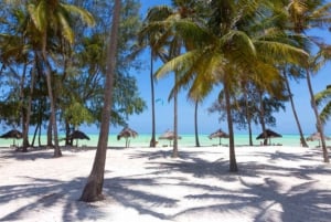 Prison Island, Sea Turtles, Rock Restaurant & Relax in Beach
