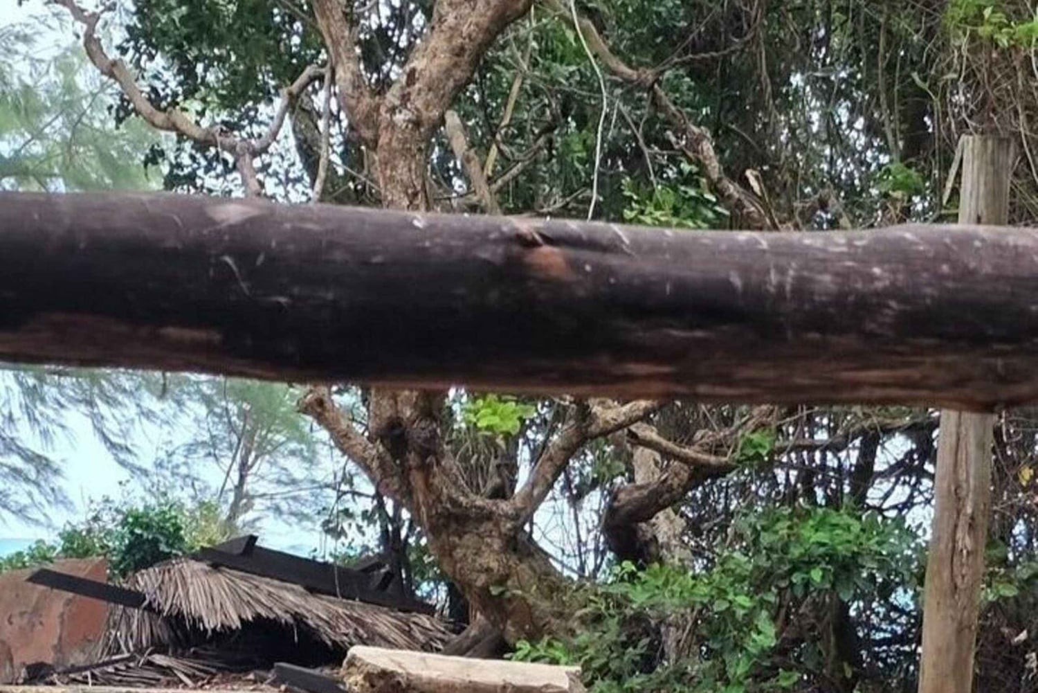 Остров Призон, ферма специй и ресторан The Rock