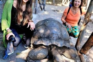 Остров Призон, ферма специй и ресторан The Rock