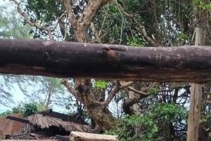 Остров Призон, ферма специй и ресторан The Rock