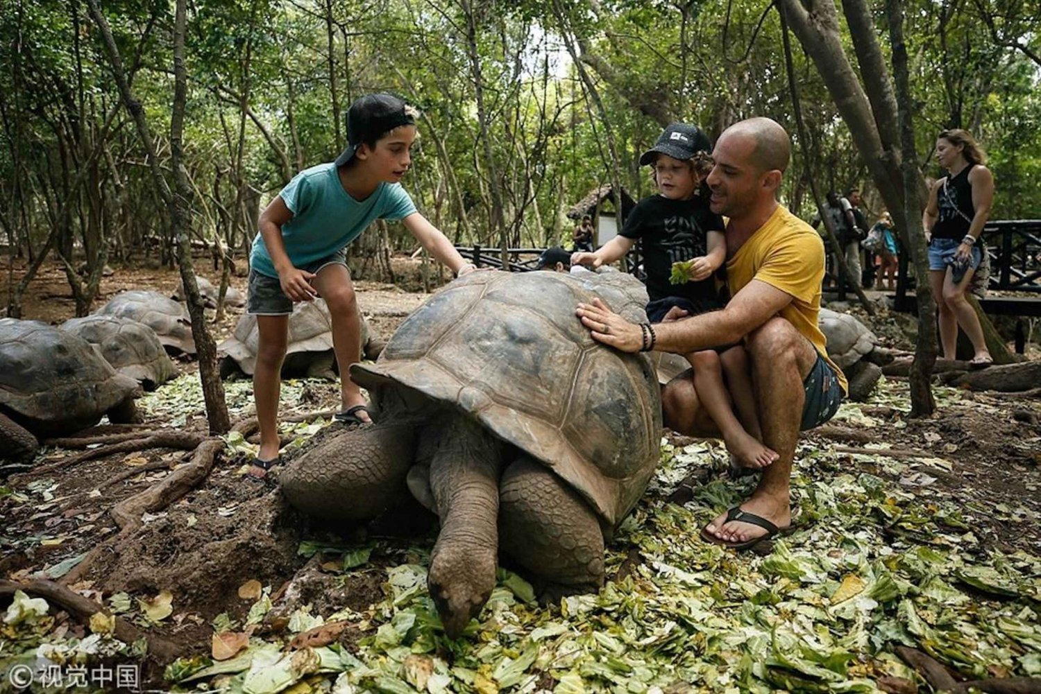 Fengselsøya og steinbyen med den lokale ekspertguiden