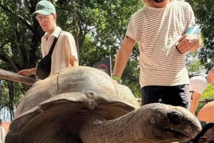 Mnemba Dolphin Watching & Prison Island Adventure With lunch