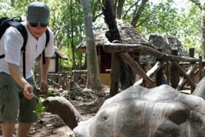 Mnemba Dolphin Watching & Prison Island Adventure With lunch