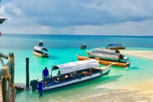 Prison Island Tour, Spice Tour with Lunch, The Island Pongwe