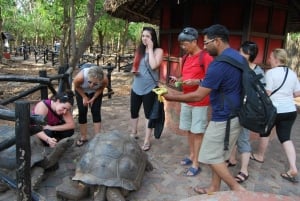 Wycieczka na Wyspę Więzienną