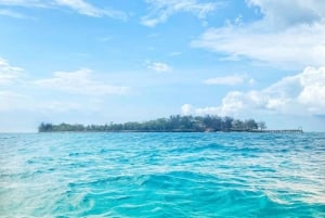 Stone Town: Walking Tour with English or German Guide
