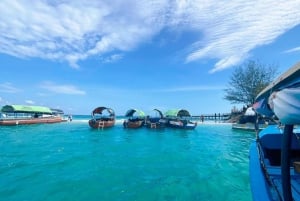 Stone Town: Walking Tour with English or German Guide