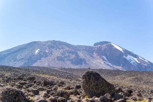 アルーシャ国立公園でプライベート4WDヴィターラサファリをお楽しみください