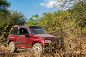 アルーシャ国立公園でプライベート4WDヴィターラサファリをお楽しみください