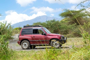 Private 4x4 Vitara Safari in Arusha National Park