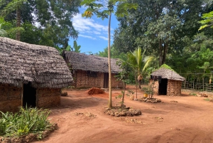 Excursion privée d'une journée entière à la découverte de la nature de Zanzibar