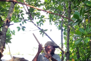Excursion privée d'une journée entière à la découverte de la nature de Zanzibar