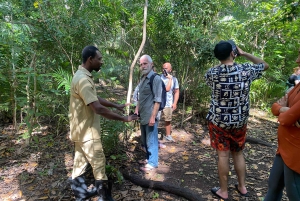 Excursion privée d'une journée entière à la découverte de la nature de Zanzibar