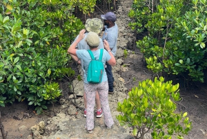 Excursion privée d'une journée entière à la découverte de la nature de Zanzibar