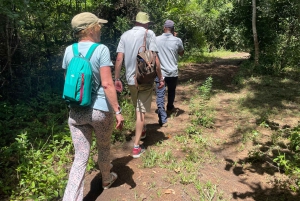 Excursion privée d'une journée entière à la découverte de la nature de Zanzibar