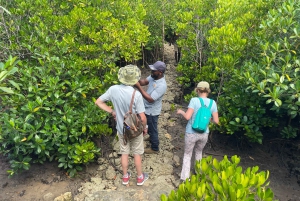 Excursion privée d'une journée entière à la découverte de la nature de Zanzibar