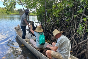 Excursion privée d'une journée entière à la découverte de la nature de Zanzibar
