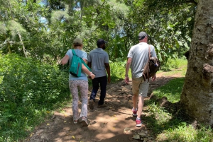 Excursion privée d'une journée entière à la découverte de la nature de Zanzibar