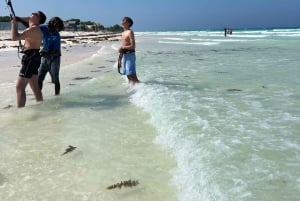 Kitesurfen: Privatunterricht vor Mnemba, Sansibar – Anfänger/Fortgeschrittene