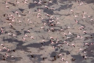 Privat Ol Doinyo Lengai 2-dagers eventyr