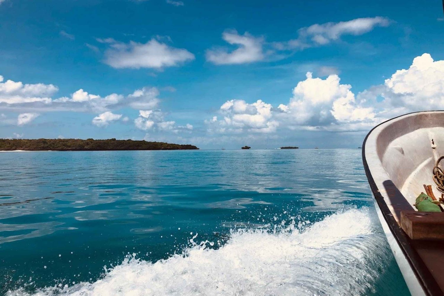 Tour particular: Golfinhos e Safári Azul na Ilha Pungume