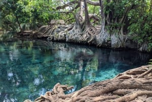 Wioska Masajów i gorące źródło Kikuletwa z Aruszy