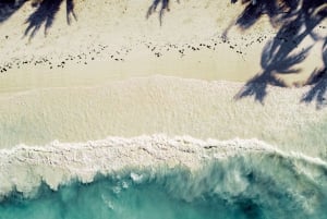 Wioska Masajów i gorące źródło Kikuletwa z Aruszy